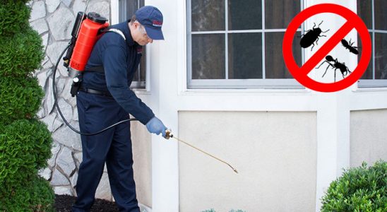 Gümüşhane Dezenfeksiyon böcek ilaçlama ve haşere kontrolü — ilaclama-tr.com